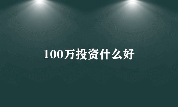 100万投资什么好