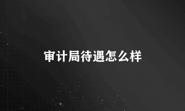 审计局待遇怎么样