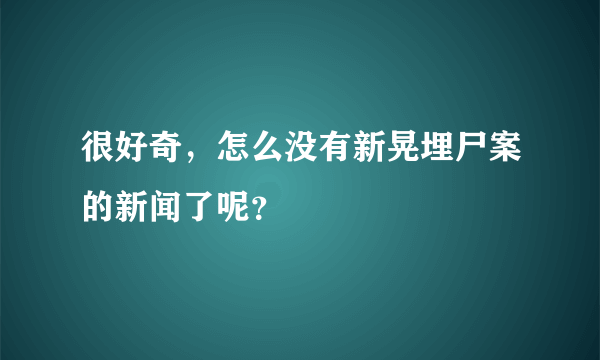 很好奇，怎么没有新晃埋尸案的新闻了呢？