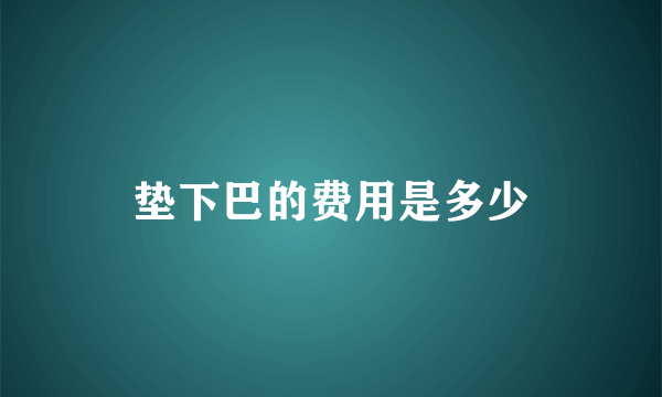 垫下巴的费用是多少