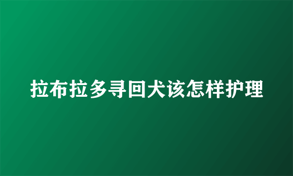 拉布拉多寻回犬该怎样护理