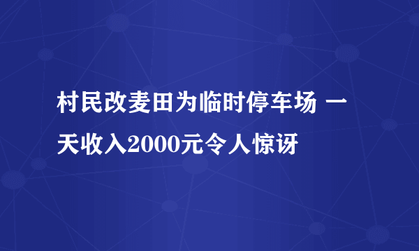 村民改麦田为临时停车场 一天收入2000元令人惊讶