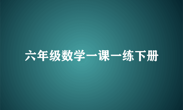 六年级数学一课一练下册