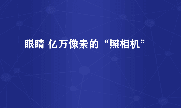 眼睛 亿万像素的“照相机”