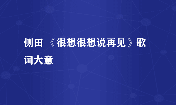 侧田 《很想很想说再见》歌词大意