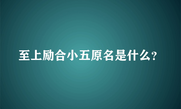 至上励合小五原名是什么？