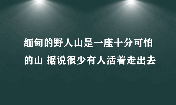 缅甸的野人山是一座十分可怕的山 据说很少有人活着走出去 