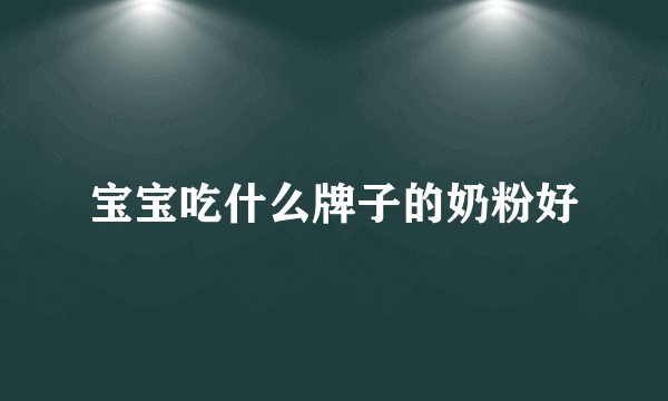 宝宝吃什么牌子的奶粉好
