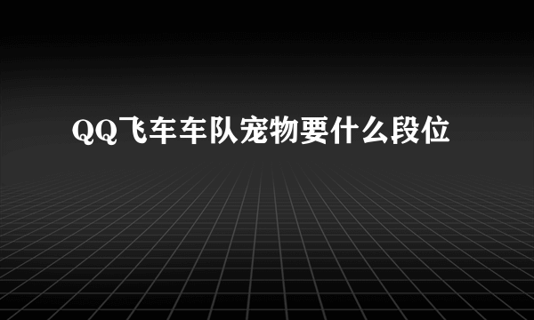 QQ飞车车队宠物要什么段位
