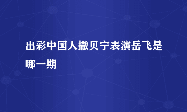 出彩中国人撒贝宁表演岳飞是哪一期