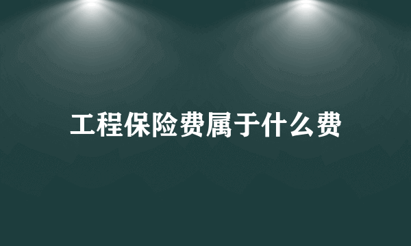 工程保险费属于什么费