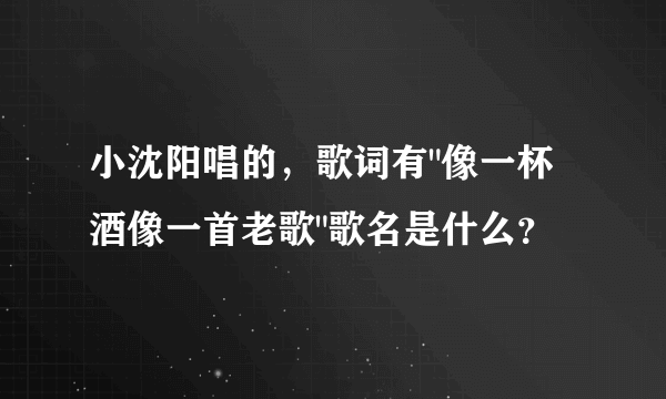 小沈阳唱的，歌词有