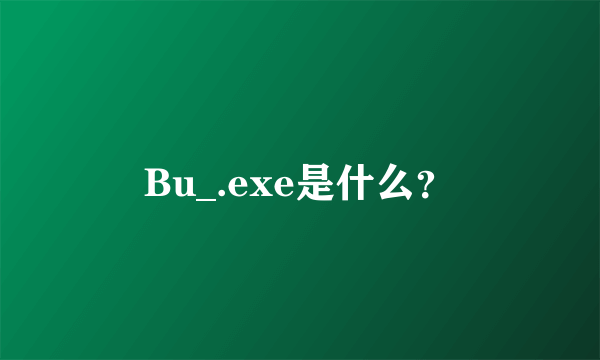 Bu_.exe是什么？