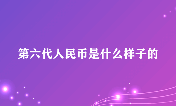 第六代人民币是什么样子的
