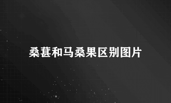 桑葚和马桑果区别图片