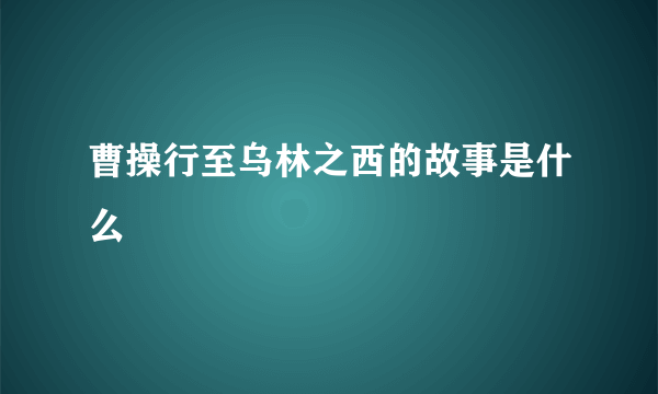 曹操行至乌林之西的故事是什么