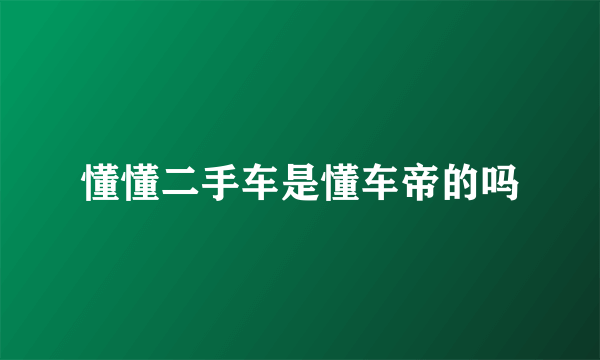 懂懂二手车是懂车帝的吗