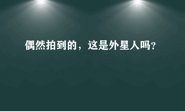 偶然拍到的，这是外星人吗？