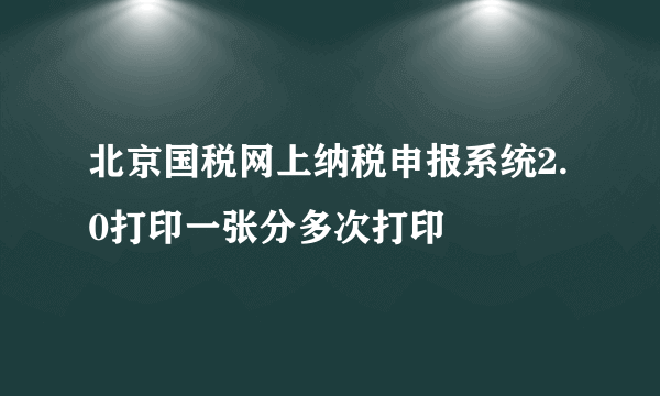 北京国税网上纳税申报系统2.0打印一张分多次打印
