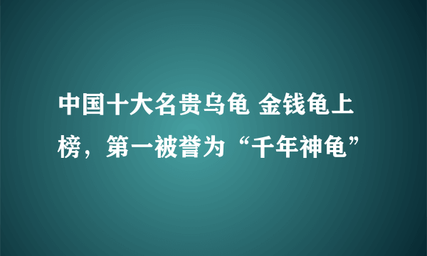 中国十大名贵乌龟 金钱龟上榜，第一被誉为“千年神龟”