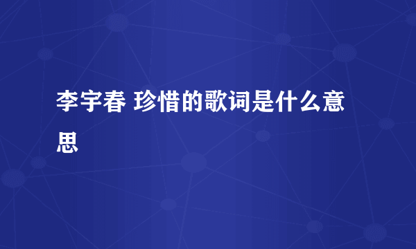 李宇春 珍惜的歌词是什么意思