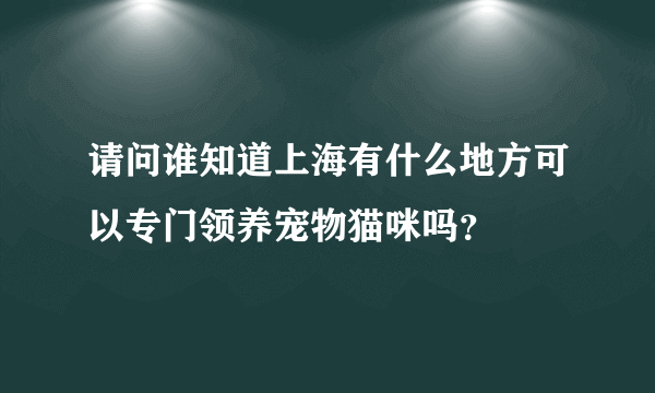 请问谁知道上海有什么地方可以专门领养宠物猫咪吗？
