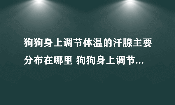 狗狗身上调节体温的汗腺主要分布在哪里 狗狗身上调节体温的汗腺如何分布介绍