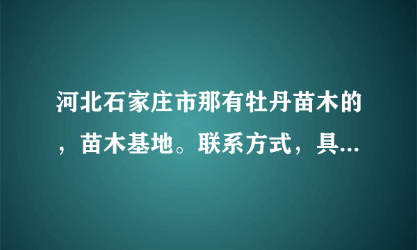 河北石家庄市那有牡丹苗木的，苗木基地。联系方式，具体地址。我想买点牡丹种苗