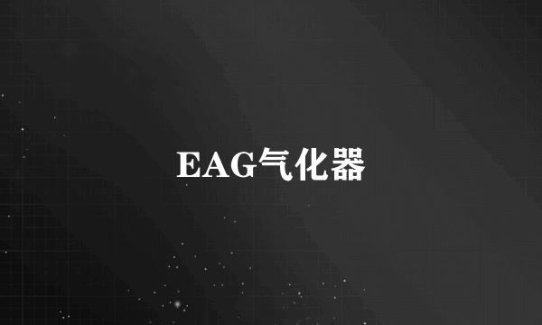 EAG气化器