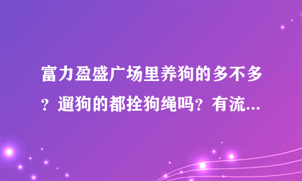 富力盈盛广场里养狗的多不多？遛狗的都拴狗绳吗？有流浪宠物吗？
