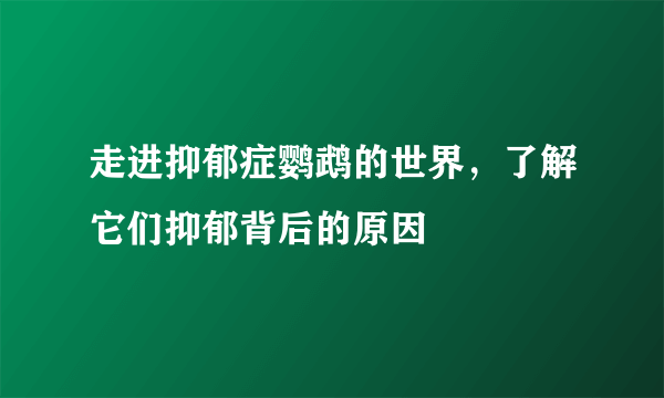 走进抑郁症鹦鹉的世界，了解它们抑郁背后的原因