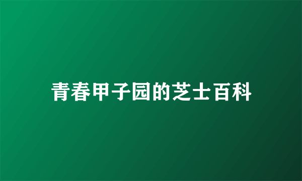 青春甲子园的芝士百科