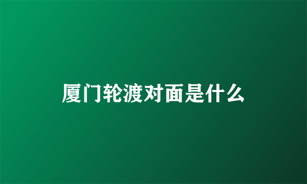 厦门轮渡对面是什么
