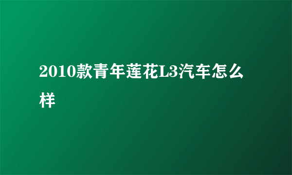 2010款青年莲花L3汽车怎么样