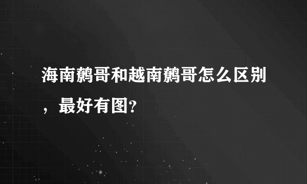 海南鹩哥和越南鹩哥怎么区别，最好有图？