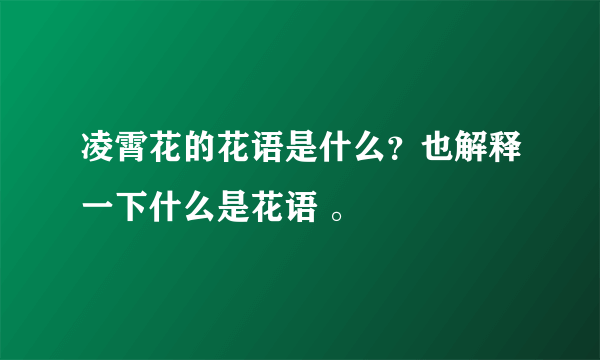 凌霄花的花语是什么？也解释一下什么是花语 。
