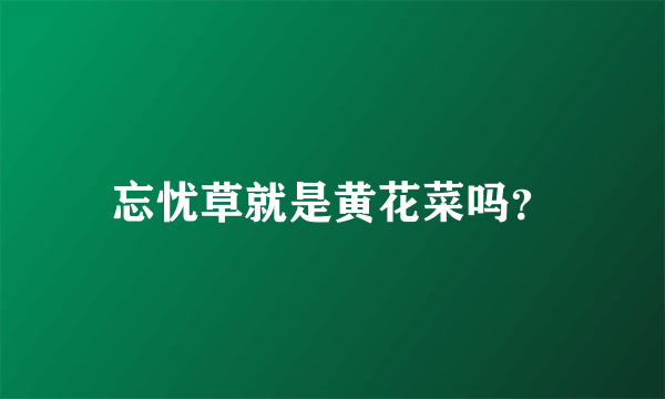 忘忧草就是黄花菜吗？