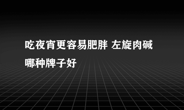 吃夜宵更容易肥胖 左旋肉碱哪种牌子好