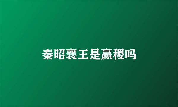 秦昭襄王是赢稷吗