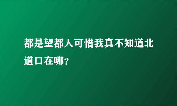 都是望都人可惜我真不知道北道口在哪？