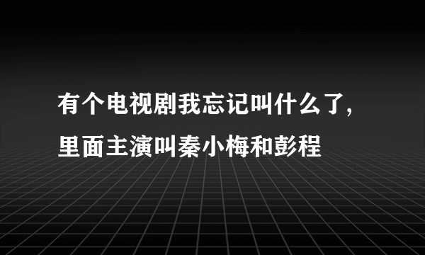 有个电视剧我忘记叫什么了,里面主演叫秦小梅和彭程