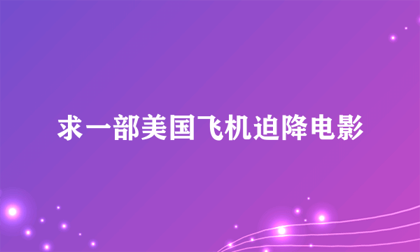 求一部美国飞机迫降电影