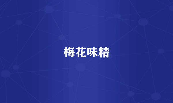 梅花味精