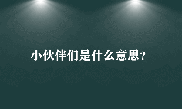 小伙伴们是什么意思？