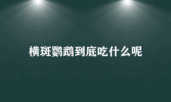 横斑鹦鹉到底吃什么呢