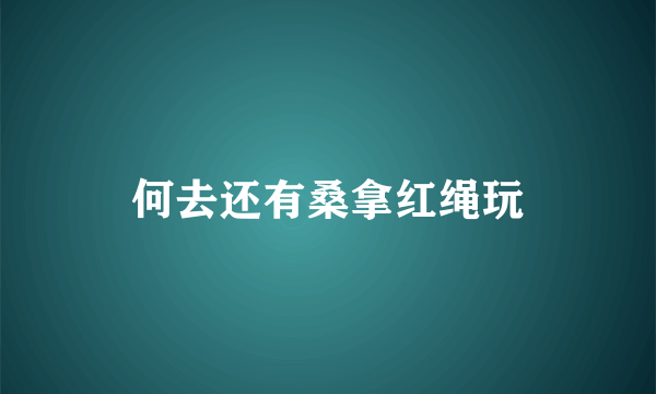 何去还有桑拿红绳玩