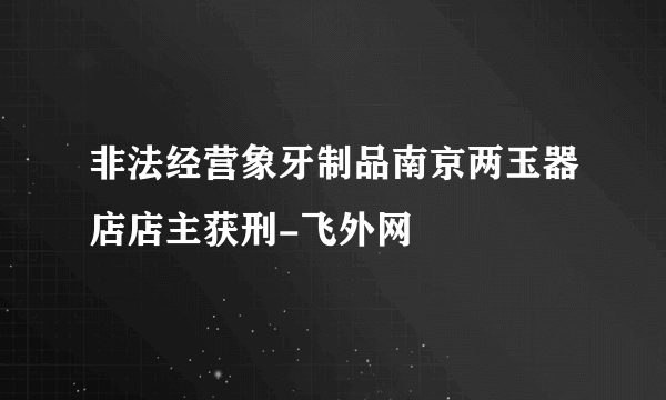 非法经营象牙制品南京两玉器店店主获刑-飞外网