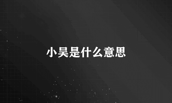 小吴是什么意思