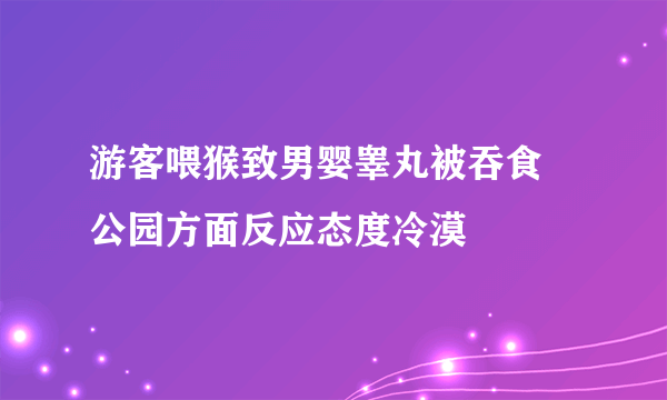 游客喂猴致男婴睾丸被吞食 公园方面反应态度冷漠