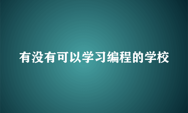 有没有可以学习编程的学校